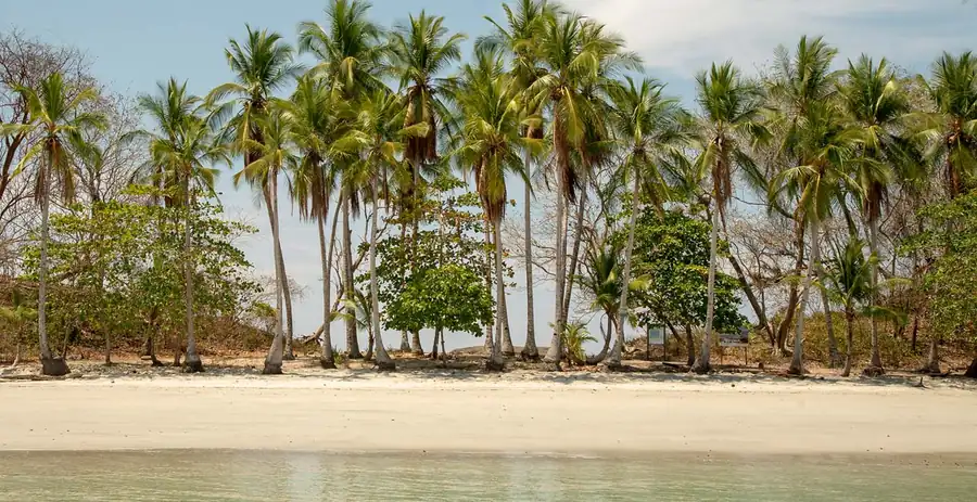 Isla Palenque